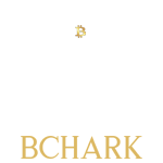 BChark Pay
